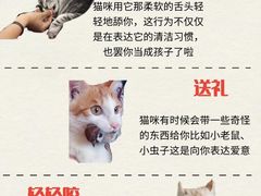 -泰洋动物医院·神经专科·磁共振·CT(天河公园总院)