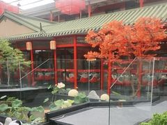 -老山东·山东菜(鲁菜名店)
