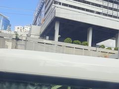 -星光大道