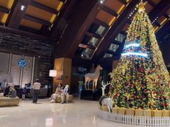 -三亚湾海居铂尔曼度假酒店