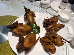 红烧乳鸽-光明招待所(邦凯科技园店)