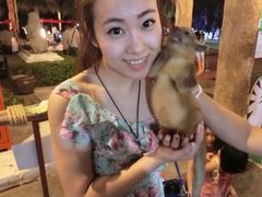 -清迈夜间动物园