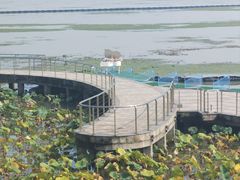 -苏州太湖西山岛开心农场