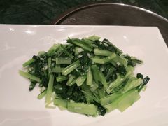 -中苑海韵