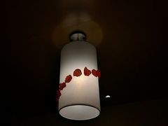 -维也纳国际酒店(北京首体店)