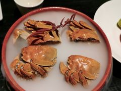 -吴越荣记苏州菜·松鼠桂鱼 100% 活鱼现做(月光码头店)
