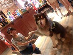 -玩坞轰趴馆·户外团建聚会主题生日派对馆(世豪广场店)