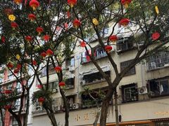 -小豆海棠(人民南路店)