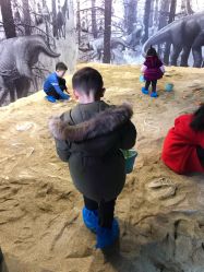 -恐龙探索乐园(磁器口店)