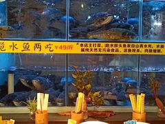 -帅巴人舅母子腊蹄民俗村