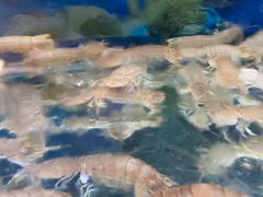 -鑫渔港海鲜本地菜·山海关浑锅(东戴河店)