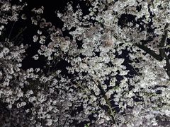 -龙美术馆(西岸馆)