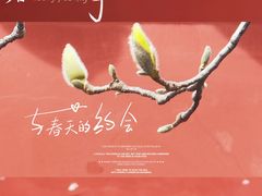 -东华门大街小区