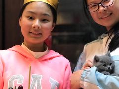 -美丽心情蛋糕(江苏路店)