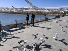 -青海湖国家重点风景名胜区