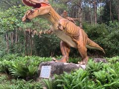 -森波拉奇妙世界