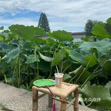 宁波｜总该为了这片荷花池来喝一杯荷塘咖啡吧