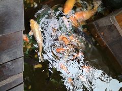 -上海大自然野生昆虫馆(东方明珠·爬宠昆虫探索中心)