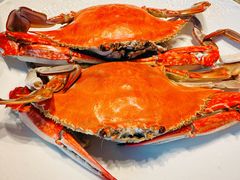 -望海湾北塘海鲜·天津菜(北塘店)