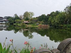 -汤姆大师傅鲜香牛肉饼(深圳保利文化广场店)