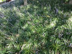 -中共上海市委党校 上海行政学院