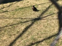 -鄂尔多斯野生动物园