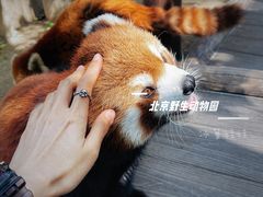 -北京野生动物园