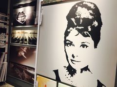 -宜家家居(哈尔滨商场店)