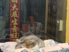 -谜盒子奇幻密室(南屏店)