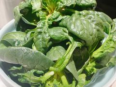 笨菠菜-捞神煲汤火锅(湖滨商业街店)