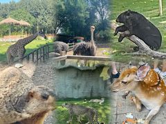 -北京野生动物园