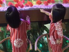 -御池园(顾村公园店)
