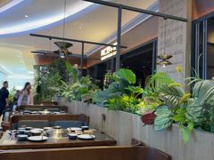 -同仁四季椰子鸡(宝安壹方城店)
