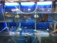 水产区-百家鲜·杭帮菜