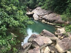 -广州白江湖森林公园