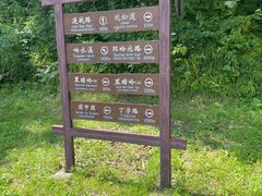 -五营红松林海景区