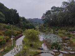 -东莞植物园