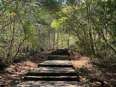 -天台山赤城山景区
