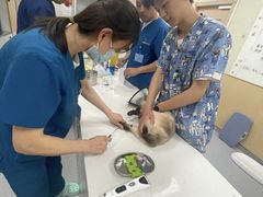 -康成宠物医院24H·CT·核磁共振