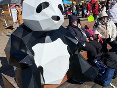 -西岭雪山大飞水景区