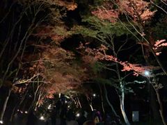 -醍醐寺