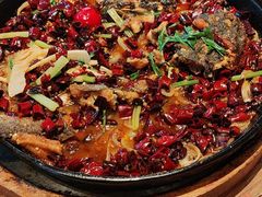 -老板恋上鱼(恒隆广场店)