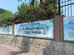 -山东省青岛第六十二中学