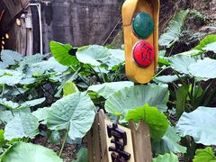 -铁路文化公园
