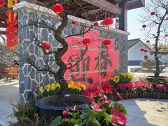 -苏州上方山国家森林公园