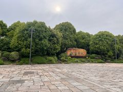 -九科绿洲