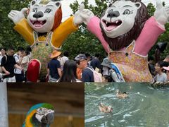 -西霞口神雕山野生动物世界