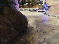 -城墙拐拐火锅(三峡广场黑金冠店)