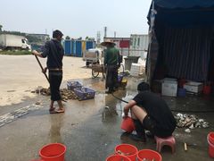 -蚝专家(北滘店)