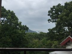 -普陀山雷迪森庄园